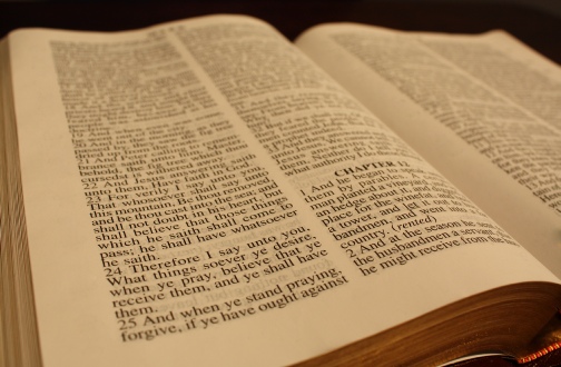 Bible Reading Plans